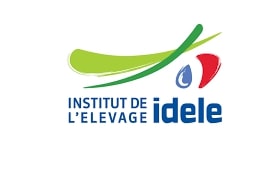 logo idele