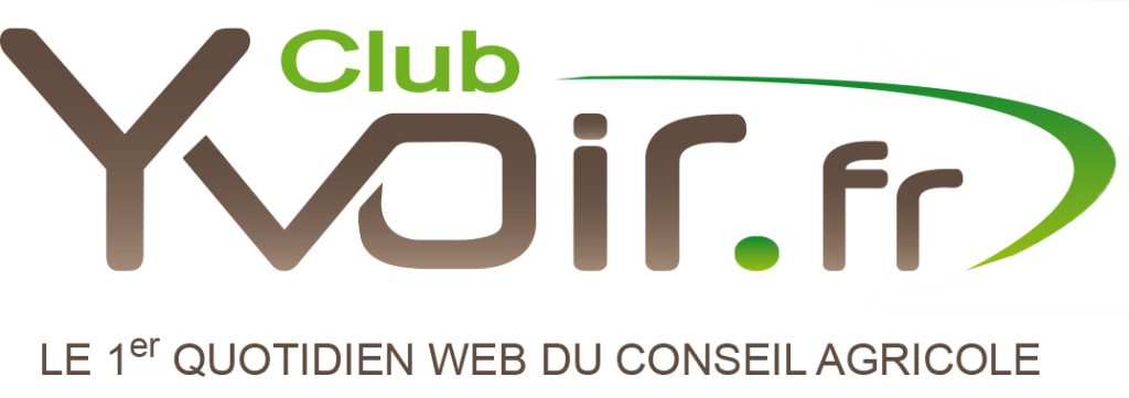 logo club Yvoir+fond