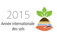 2015 année internationale des sols