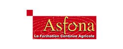 logo Asfona - old 2013