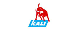 logo Kali - 2013