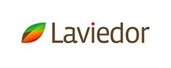 logo Laviedor