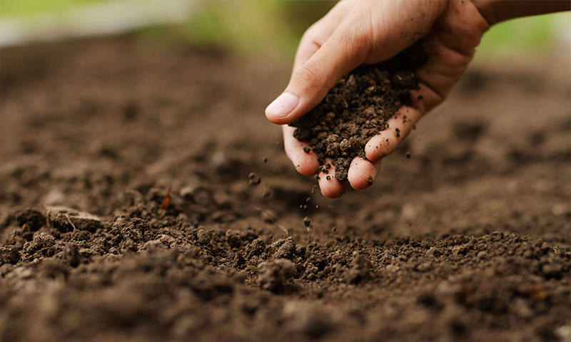 Groupe de travail FORBS - fertilité organique et biologique des sols