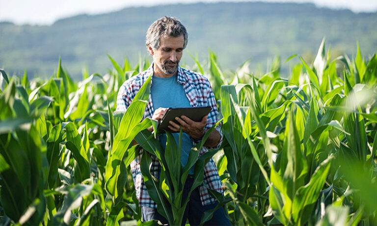 ingénieur agronome