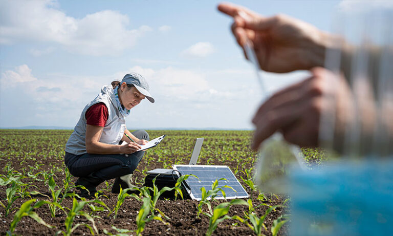 ingénieurs agronomes