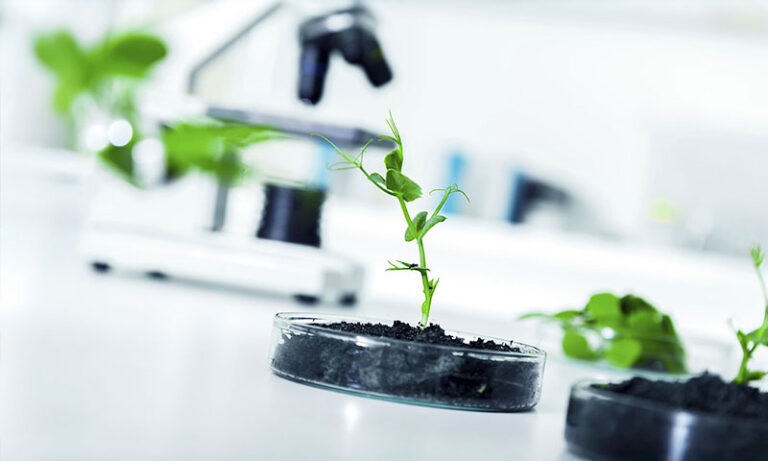 laboratoire agronomique