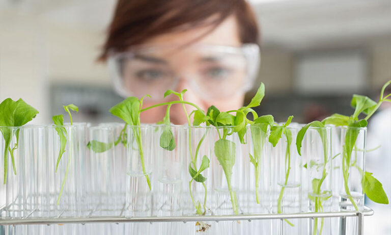 laboratoire agronomique