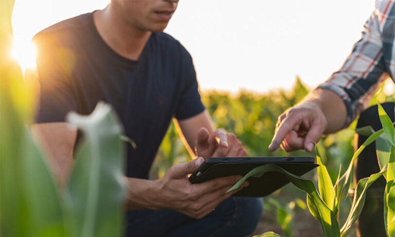 ingénieurs agronomes