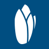 fiches cultures, picto endive