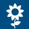 fiches cultures, picto tournesol